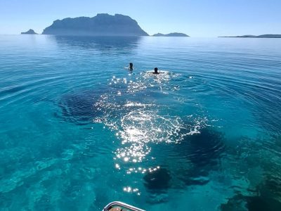 Snorkeling à Capo Ceraso avec l’île de Tavolara en arrière-plan